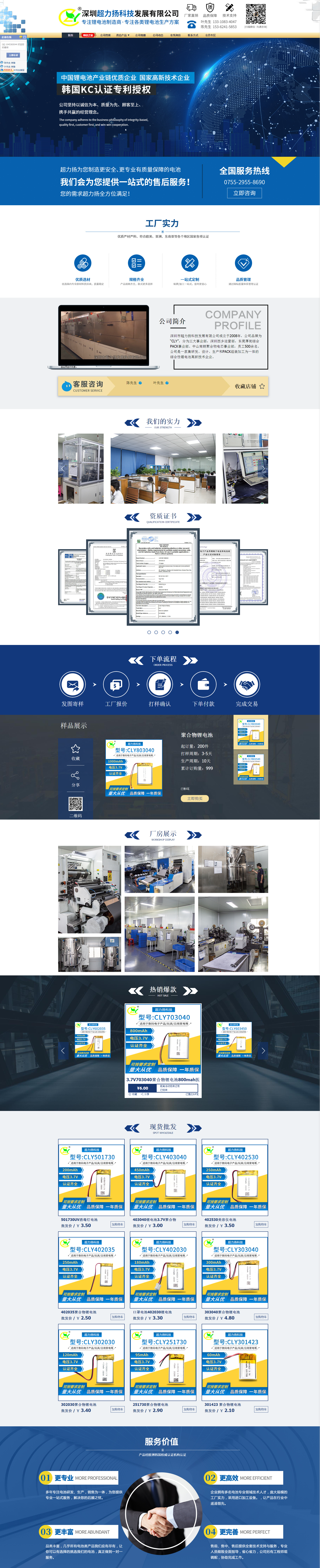 深圳市超力扬科技发展有限公司网站设计图